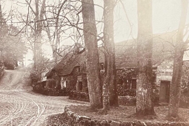 Tigers Head, Rampisham