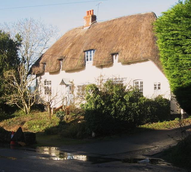 White Hart, Binsted