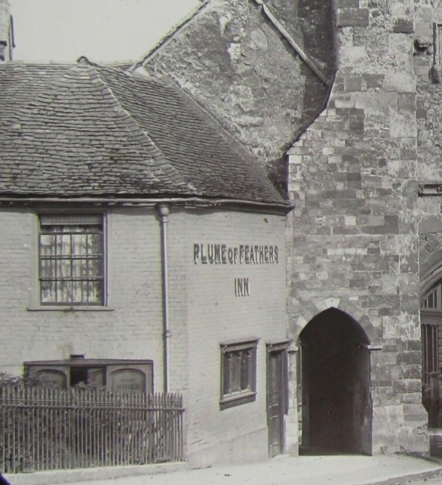 Plume Of Feathers, Winchester