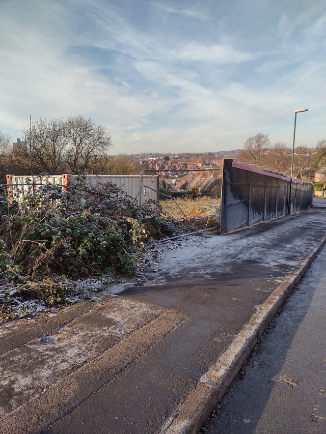 Greenwood Tree, Nottingham, NG3