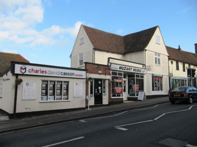 Chestnut Tree, Bishops Stortford Chestnut Tree, Bishops Stortford
