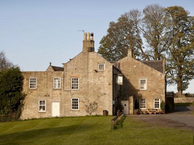 Bay Horse, Stamfordham