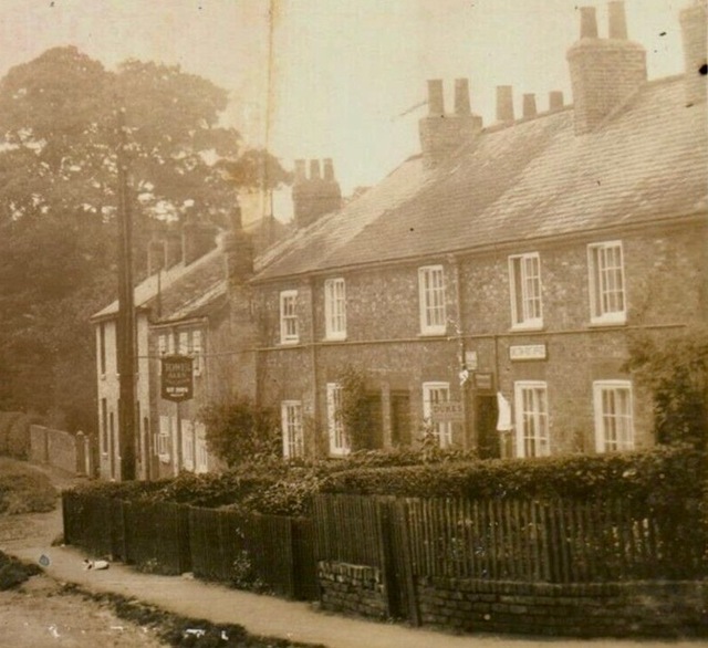 Bay Horse, Skelton